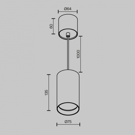 Подвесной светильник Technical P100PL-20W4K-BS