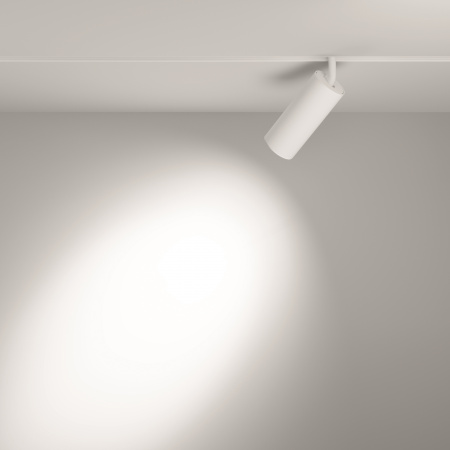 Трековый светильник Technical TR032-2-20W4K-S-W