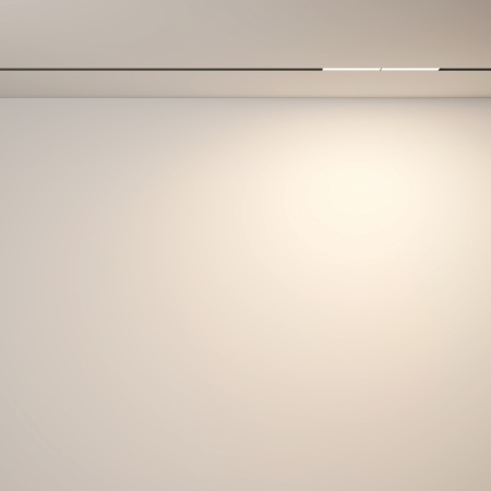 Трековый светильник Technical TR106-2-12W3K-B