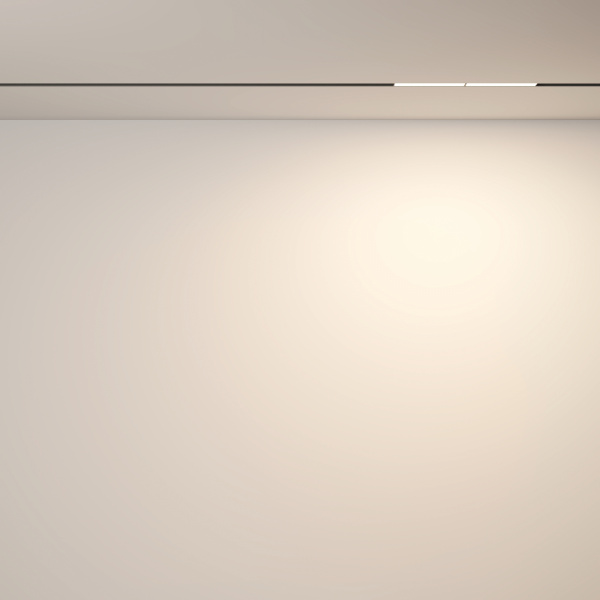 Трековый светильник Technical TR106-2-12W3K-B