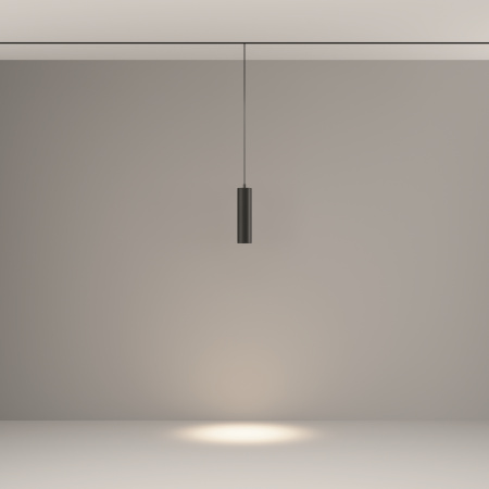 Трековый подвесной светильник Technical TR041-2-12W4K-B