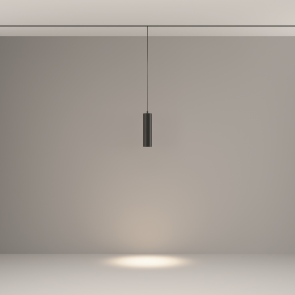 Трековый подвесной светильник Technical TR041-2-12W4K-B