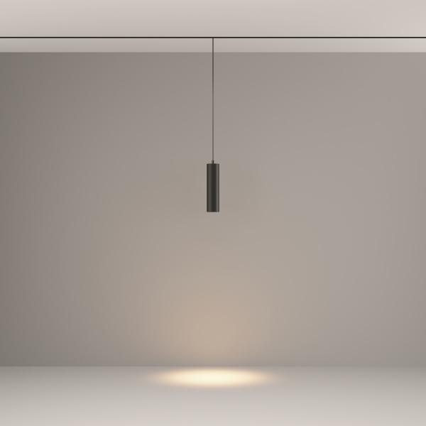 Трековый подвесной светильник Technical TR041-2-12W3K-B